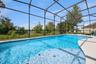 Screened Pool surrounded by Nature!
