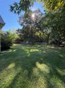 plenty of room in this yard for any imagination