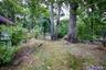 View of yard with a view of trees