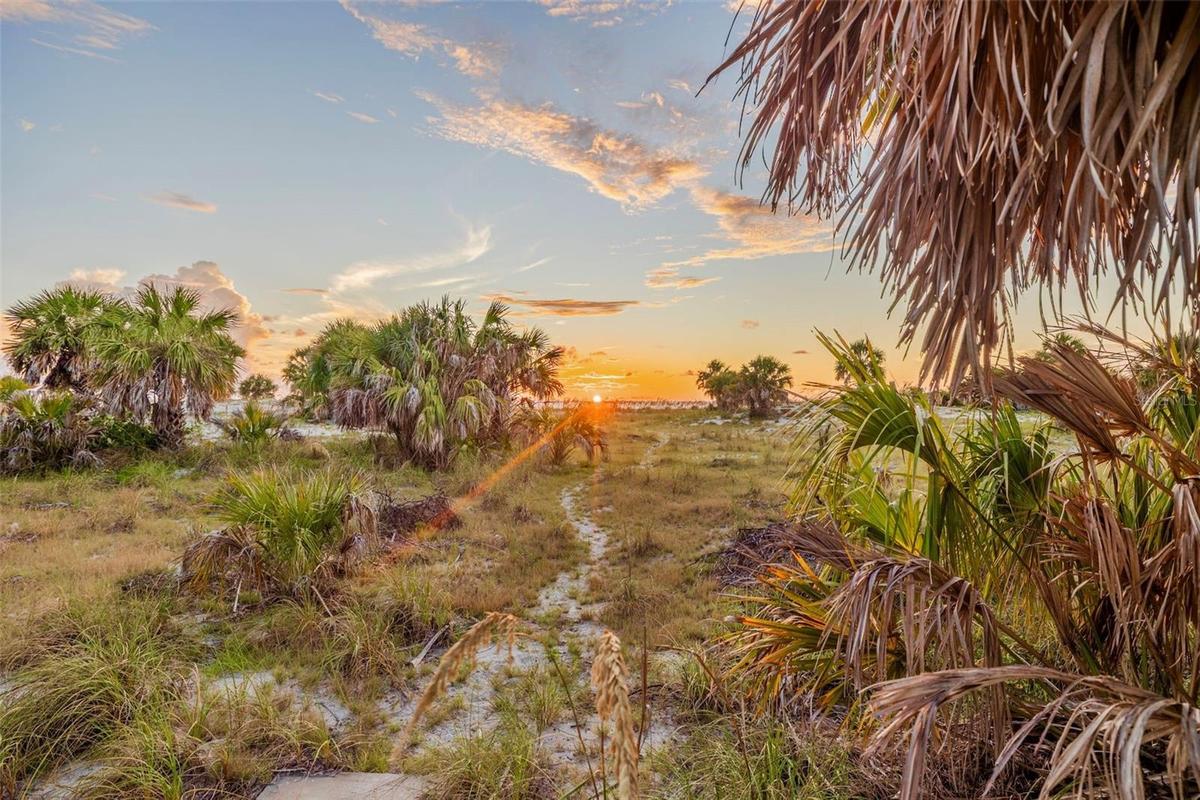 Prime lot location