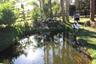 Duck pond with waterfall, fruit trees and paddock fence