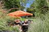 Rear Yard Oasis