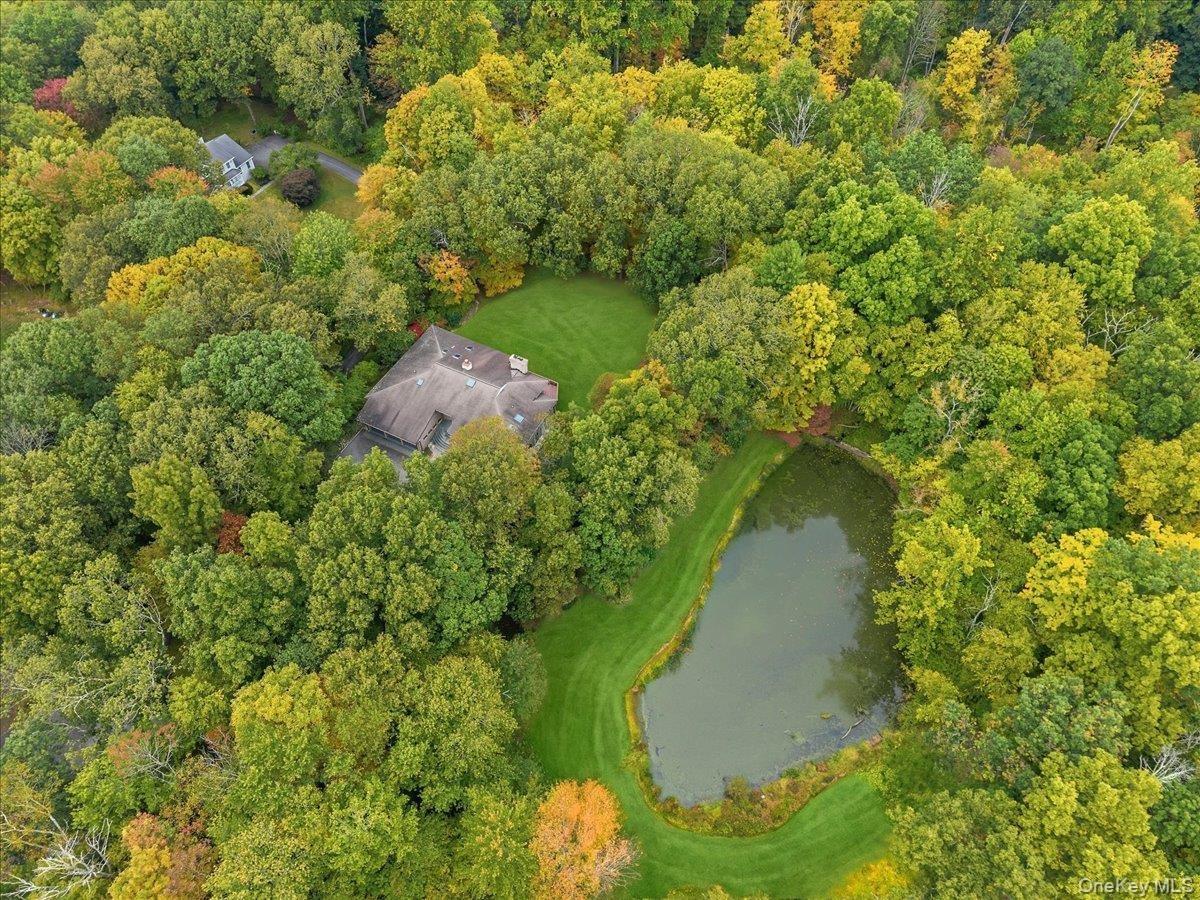 Aerial view of pond