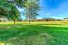 Expansive grass field with scattered mature trees and distant structures