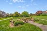 Grounds