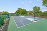 Basket Ball
