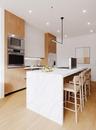 Downdraft Island Cooktop