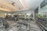 Weights
