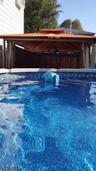 Above heated salt water pool
