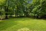 Expansive lawn surrounded by mature trees, featuring a wooden privacy fence and a small decorative shrub