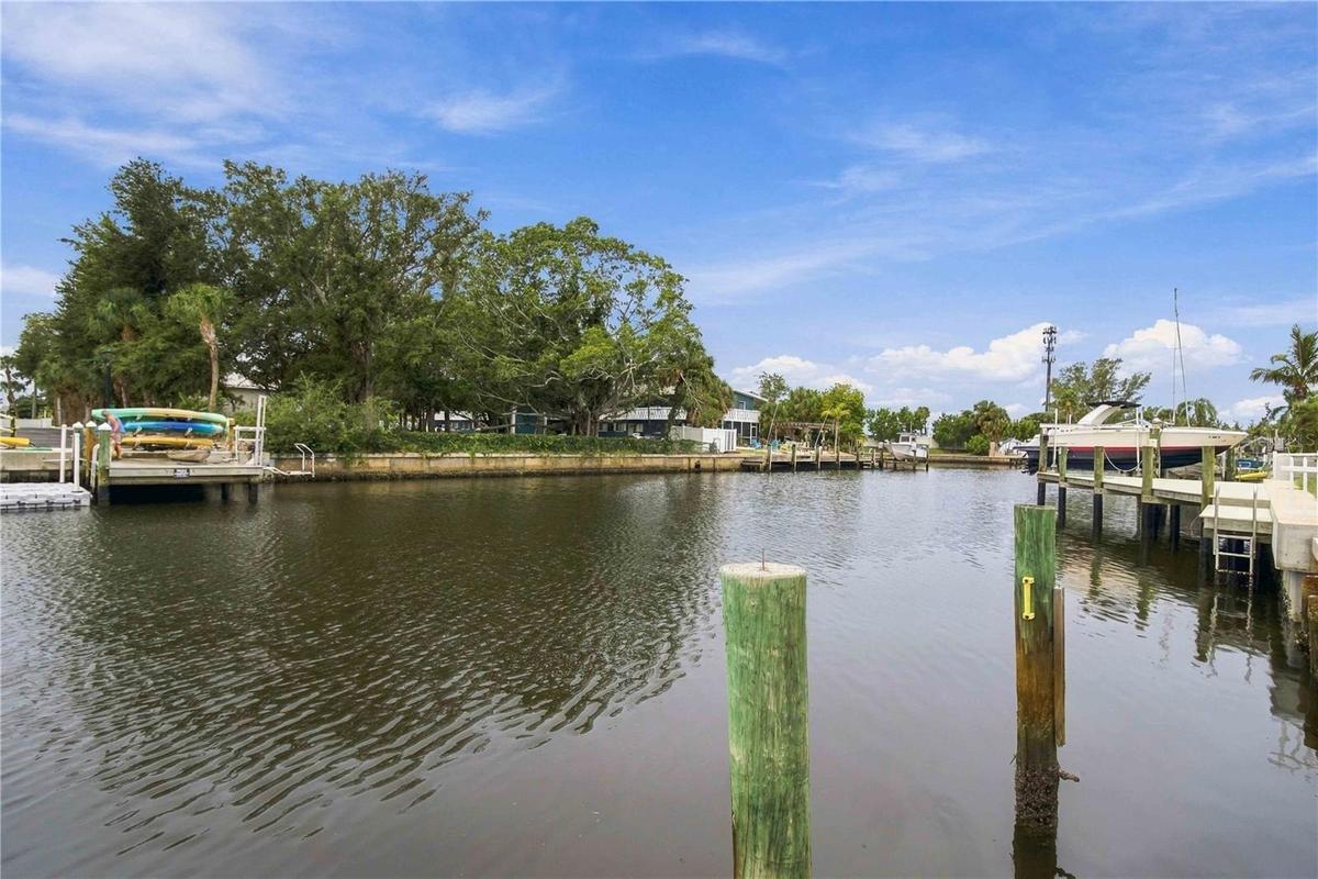 Befriend the Manatee's that drift along the canal behind your home.