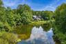 Pond view