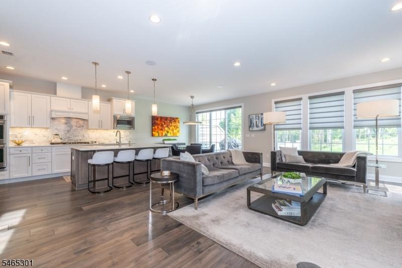Living Room and Kitchen