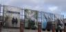 Turtleback Zoo