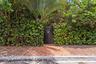 S Palmway back entrance, with extra parking.