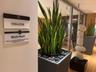 Modern interior space featuring a media room, full-height windows, wood-finish flooring, and decorative planters with polished river stones