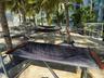 Outdoor amenity area featuring multiple palm trees, sand-like ground covering, and several hammocks