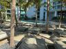 Resort-style pool deck featuring a curvilinear swimming pool, multiple lounge chairs, and mature palm trees