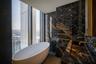 Bathroom with a View 