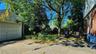 Shaded Backyard
