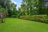 Expansive green lawn.