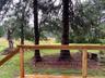 the view out over the 100 acres