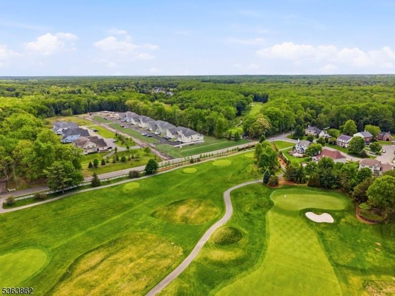 Drone overview of community