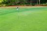 Lush greens and fairways!