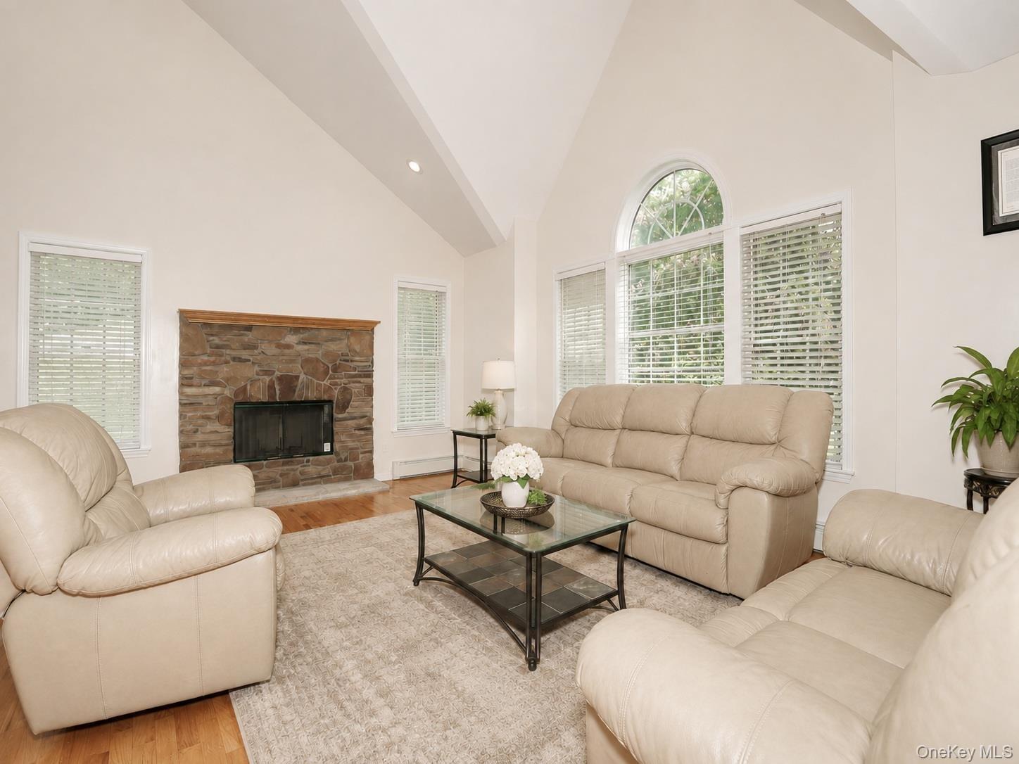Living Room with vaulted ceilings