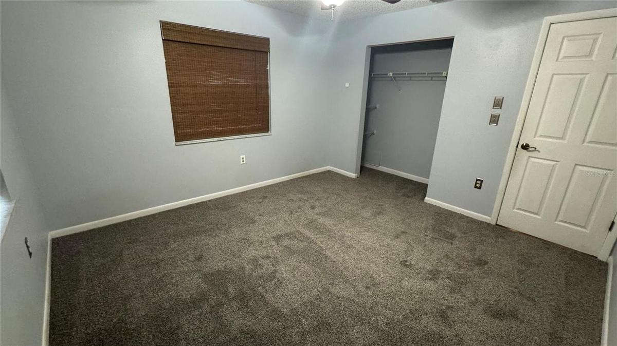 New carpet