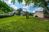 backyard photo