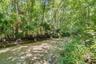 Little Wekiva River