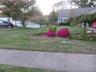 Manicured lawn with mature trees and vibrant landscaping