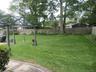Expansive green lawn, mature trees, wood fence enclosure, and a decorative pergola structure