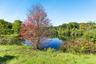Community Pond