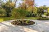 Front Circle Driveway
