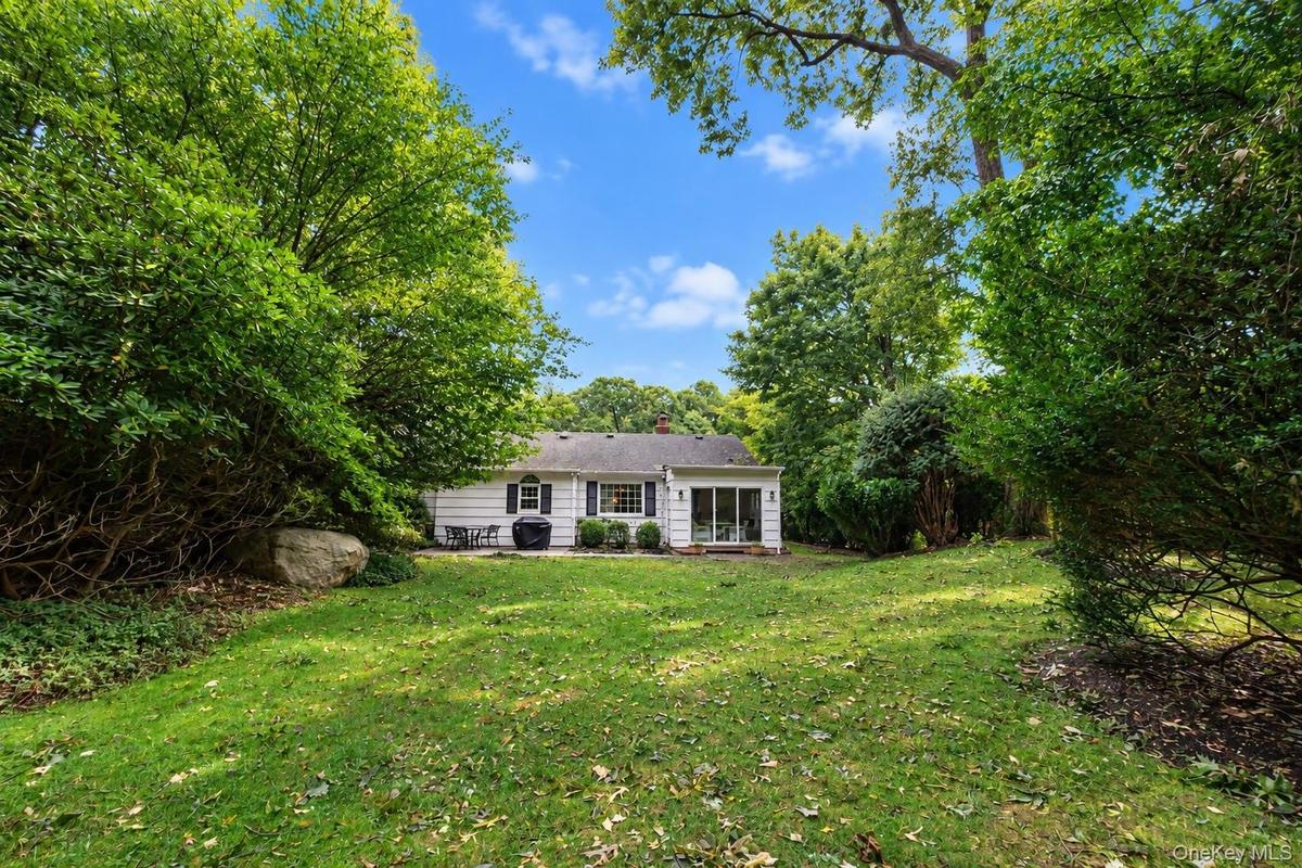 Large backyard with mature specimen plantings