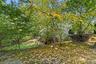 Expansive backyard.