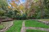 Backyard View