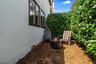 Side yard