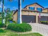 10796 Tarflower-#101
