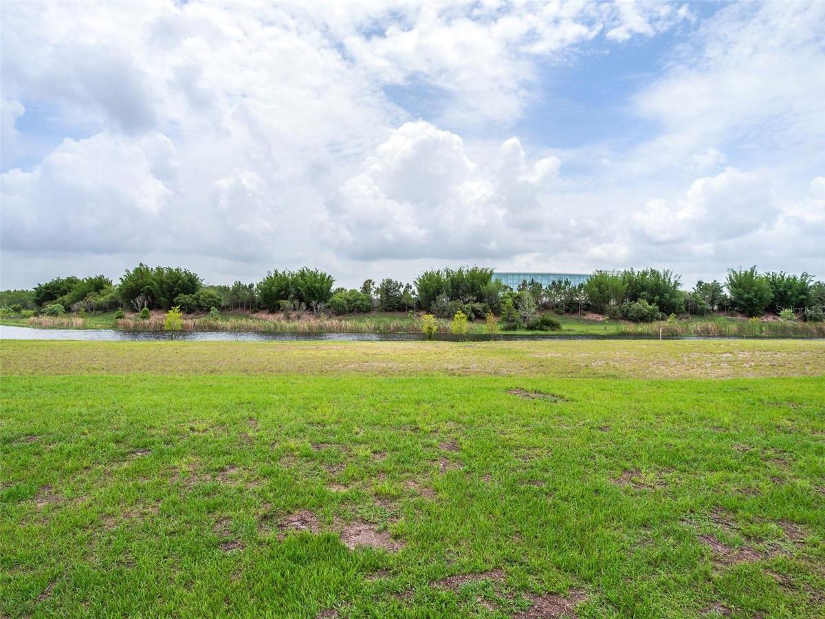 Rear Lot View