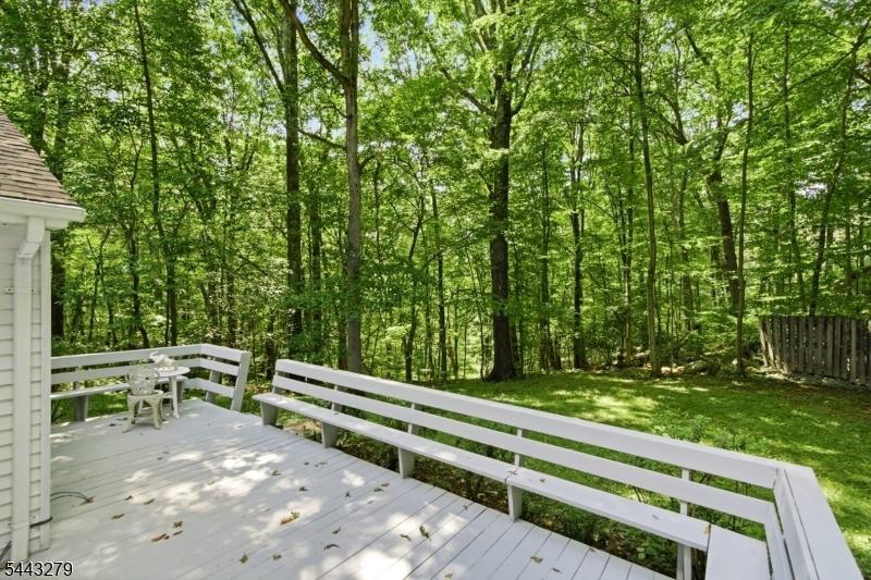 Back Deck