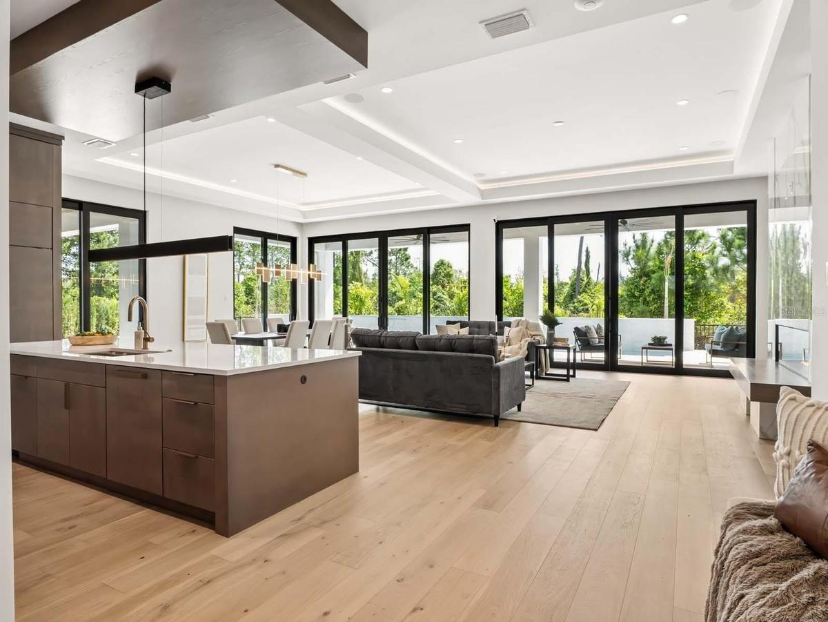 Kitchen & Living Room