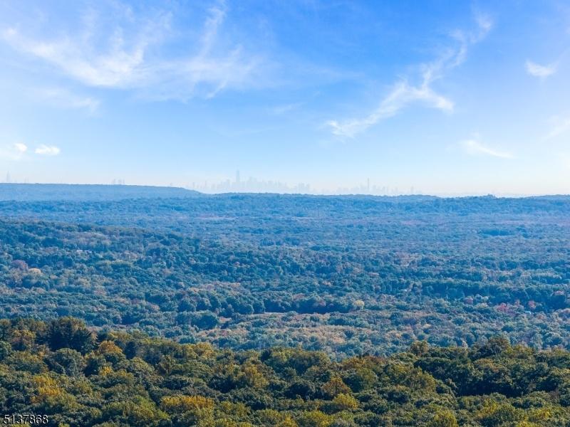 Skyline view