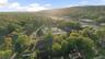 Ariel View