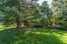 Backyard Area