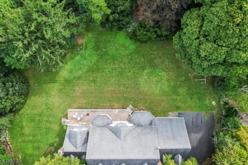 Expansive Private Backyard