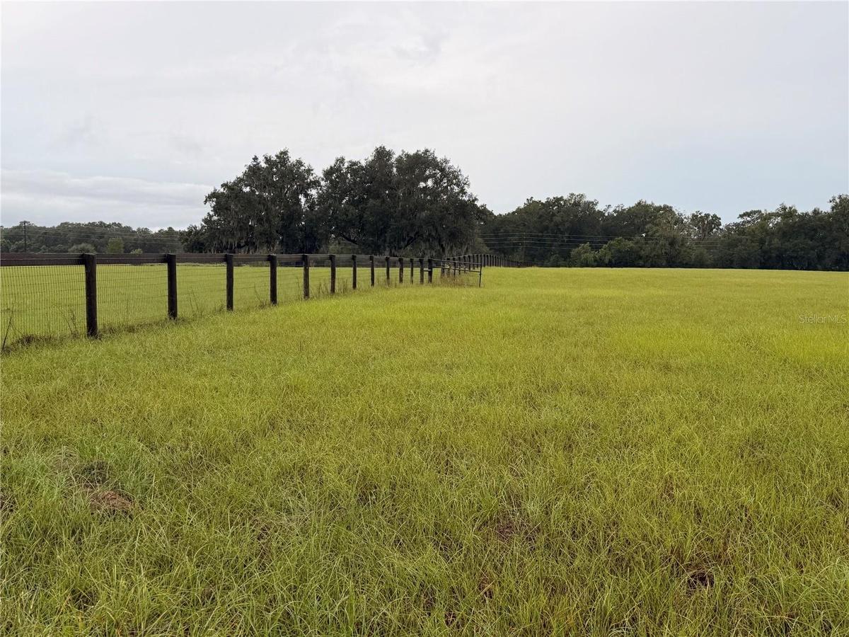 Beautiful rectangular lot. Very private with great pasture grass.
