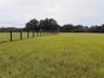 Beautiful rectangular lot. Very private with great pasture grass.